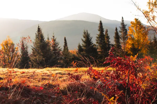 Morning Mountains thumbnail