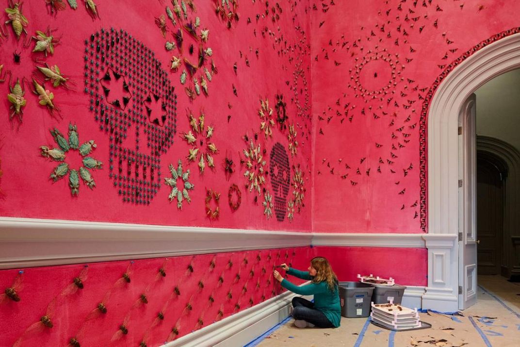 A photograph of a woman sitting on the ground placing bugs on the wall inside an art gallery.