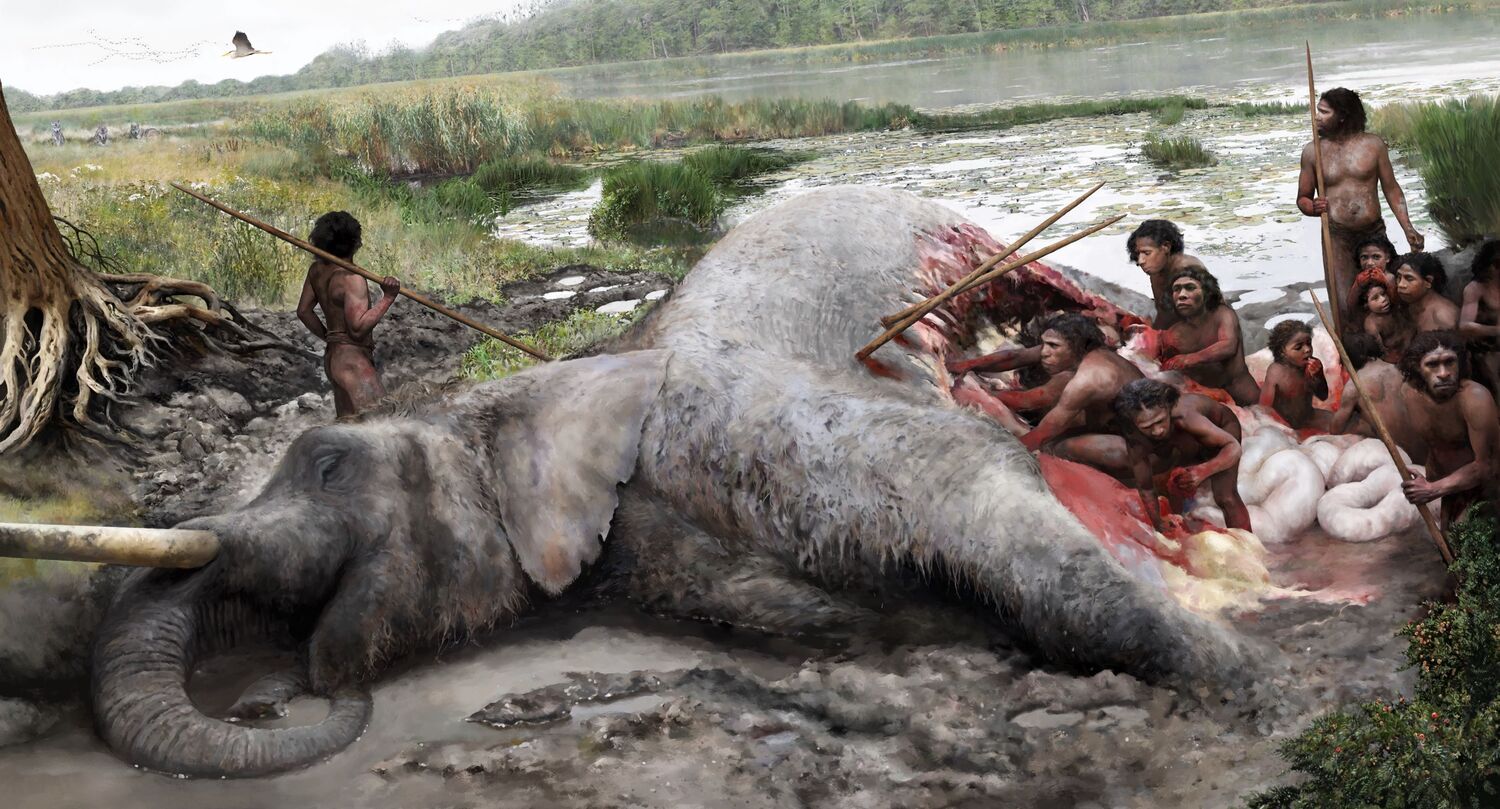 After Nearly 80 Years of Doubt, Scientists Say a Spear Lodged Between Elephant Ribs Offers Evidence That Neanderthals Hunted Big Game