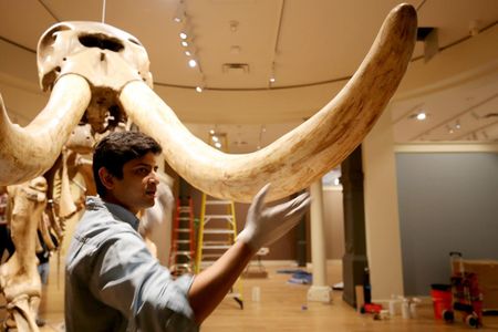 What's a mastodon doing at SAAM? Dr. Advait Mahesh Jukar, a Deep Time Fellow and Paleontologist at the Smithsonian's National Museum of Natural History, answers our questions.