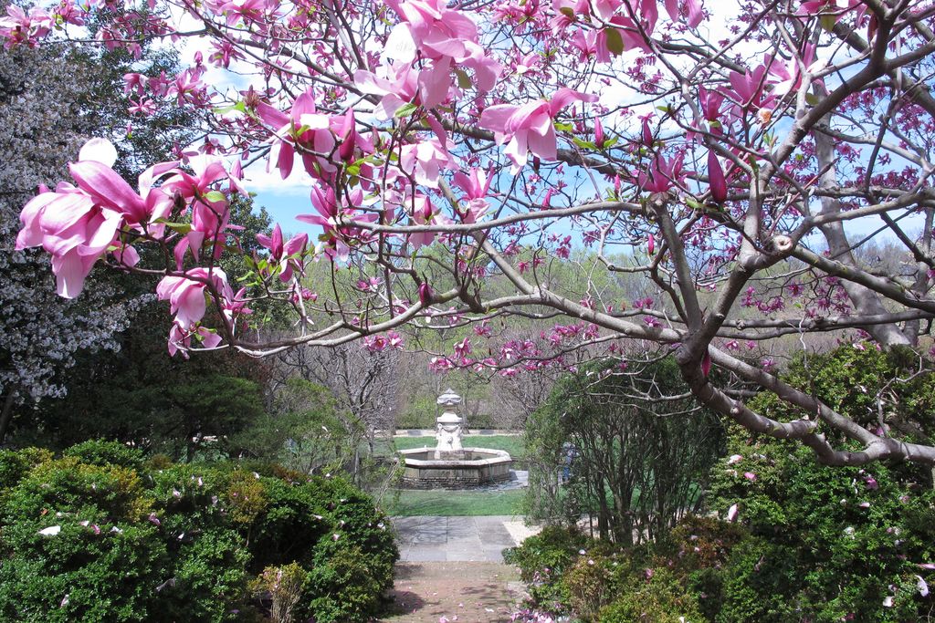 Dumbarton Oaks Garden