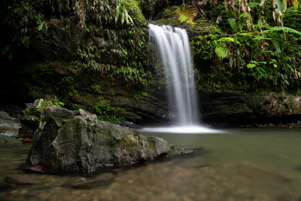 Waterfall at El Yunque National Park thumbnail