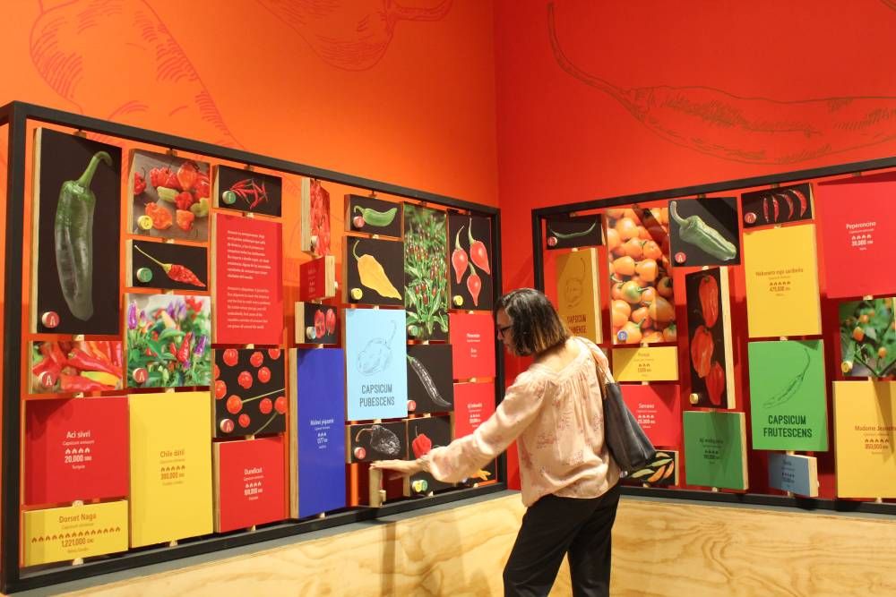 A woman reaches towards a wall covered in chili pepper panels.