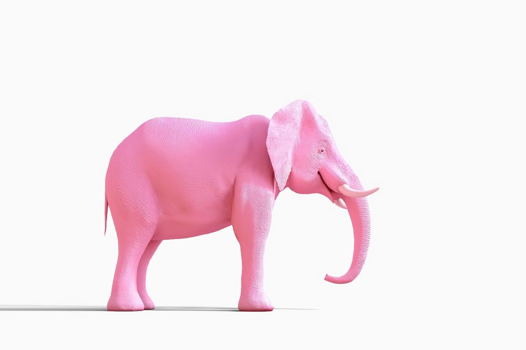 hallucination pink elephant