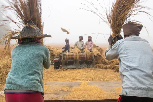 Rhythm of Harvest thumbnail