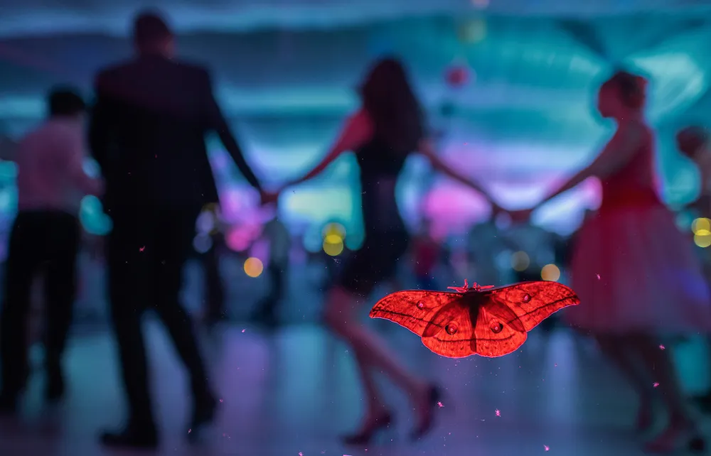 a moth appears to be floating and tinted red, as people behind it dance in a circle holding hands