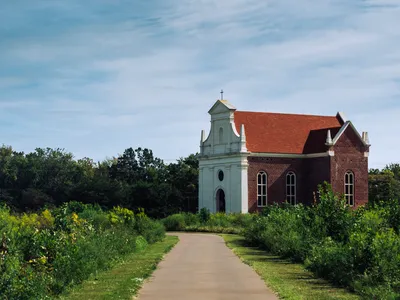 Groundbreaking DNA Analysis Identifies 1.3 Million Living Relatives of Colonial Maryland's Earliest Settlers image