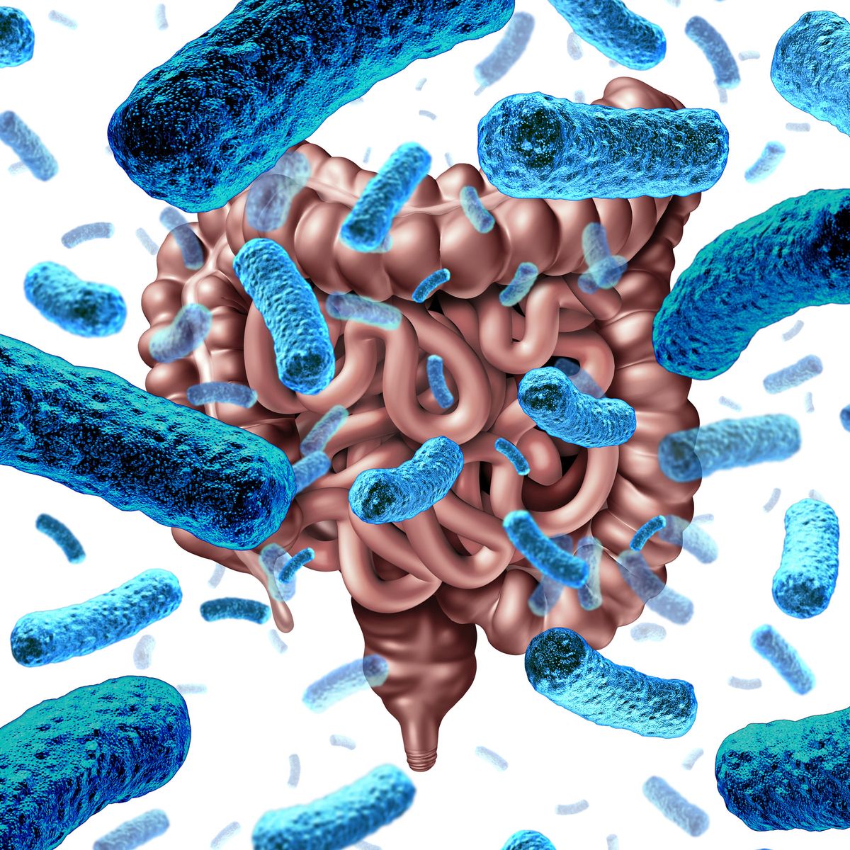 How the Gut Microbiome Could Provide a New Tool to Treat Autism, image size:1200x1200