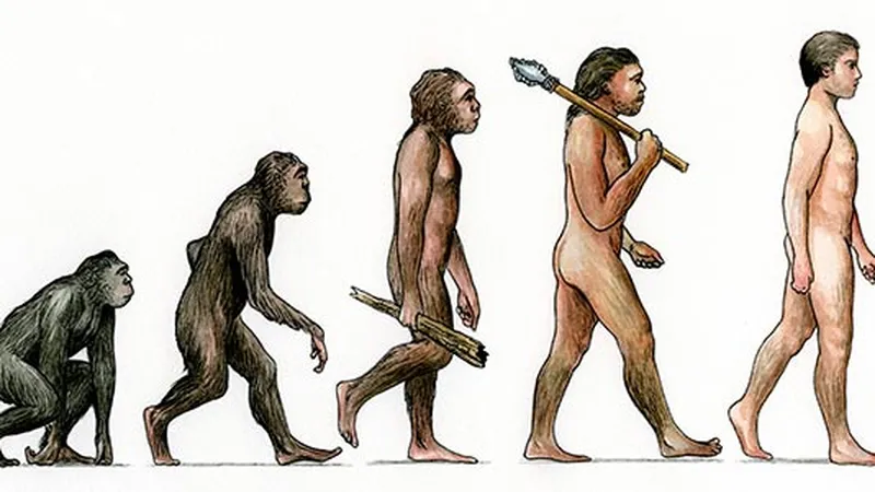evolution of man with names