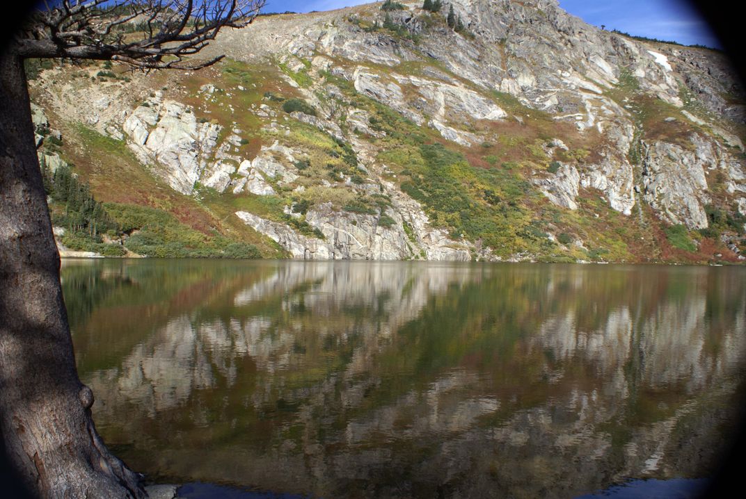 Lake, Tree, Mountain Reflection | Smithsonian Photo Contest ...