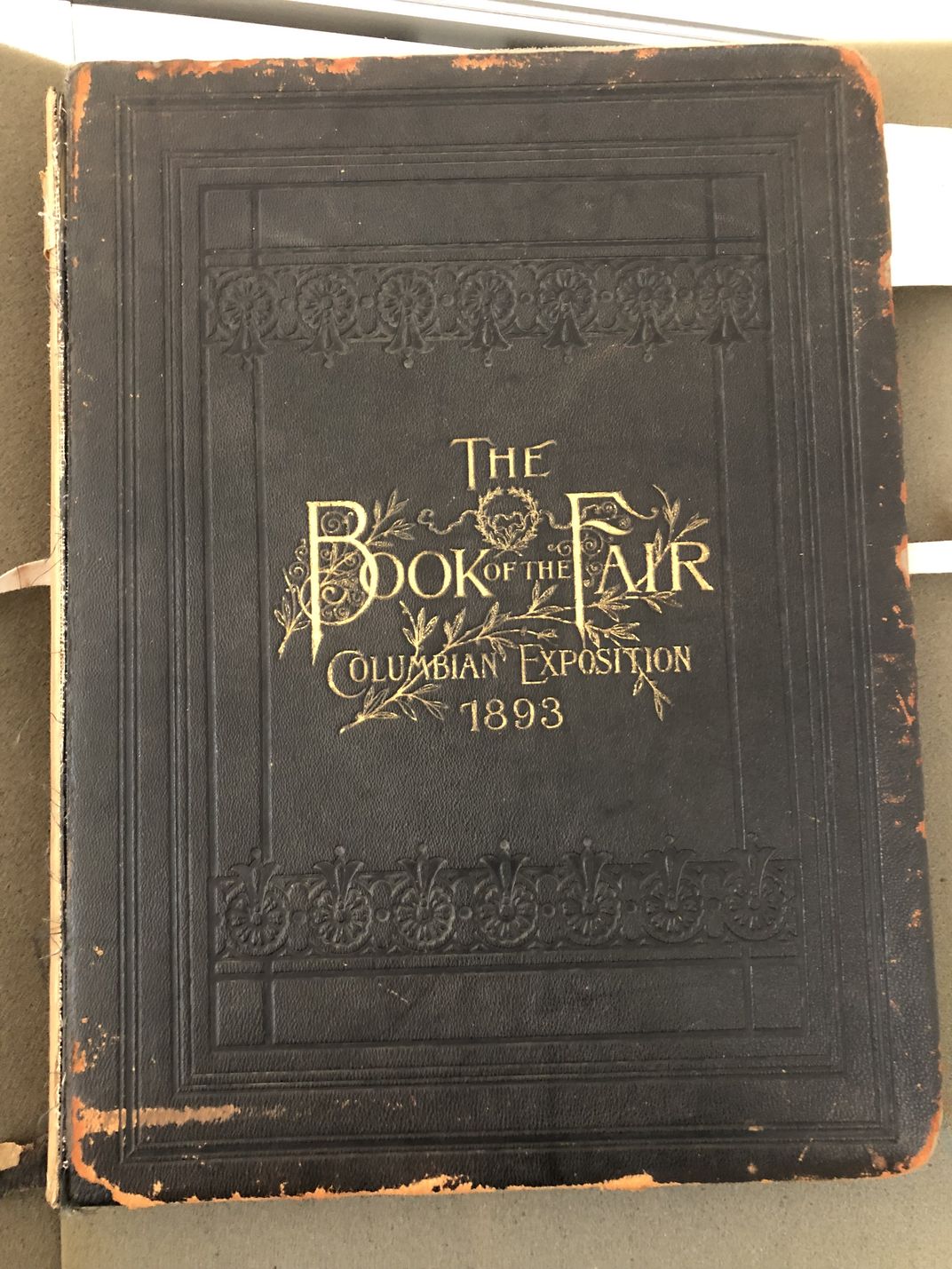 Book cover of "The Book of the Fair"