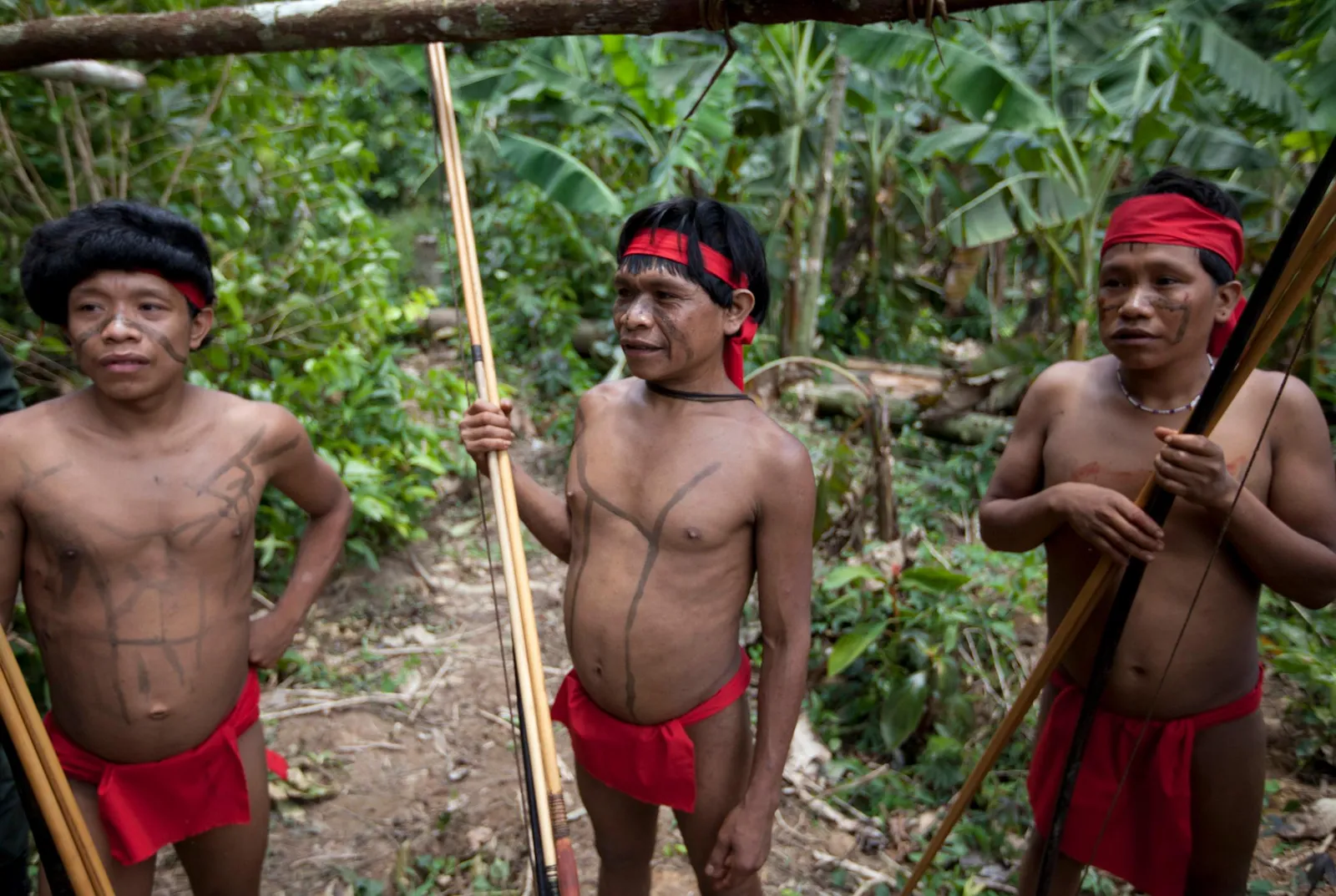 Племя в Бразилии Яномами
