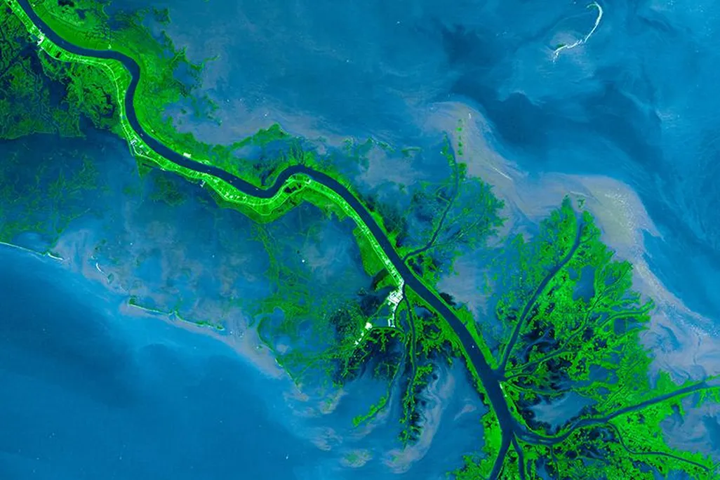 The Mississippi Delta, seen from space in 2001. 