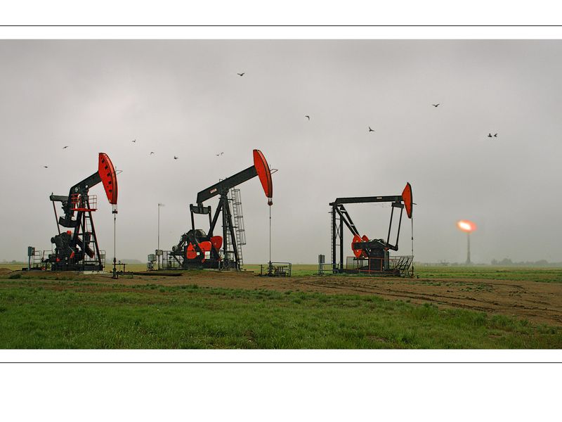 "Nodding Donkeys" A common sight in Alberta are the pump jacks also