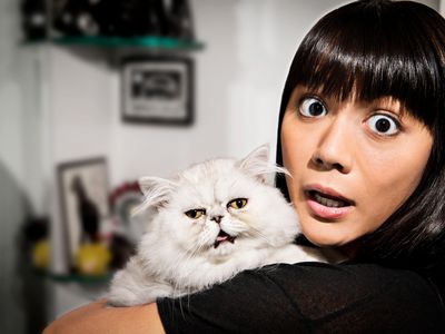 Surprise! Cats may be able to pick up on the moods of their owners.