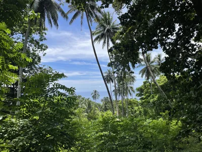 These Remote Volcanic Islands in the South Pacific Just Became a UNESCO World Heritage Site image