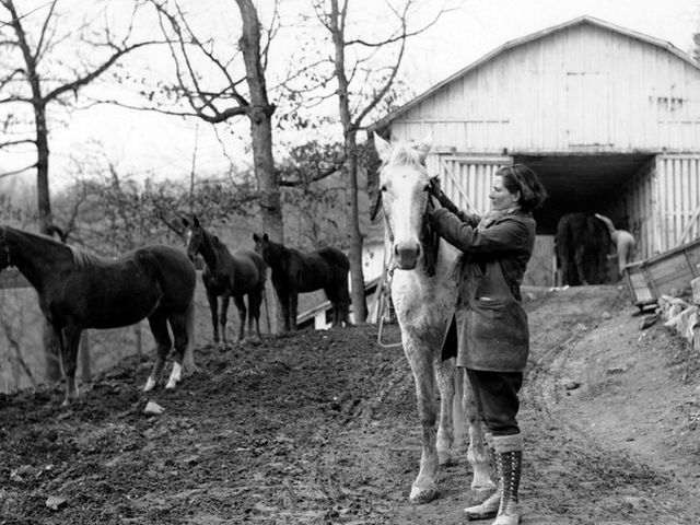 Couriers&rsquo; duties included fetching patients from cabins, weighing babies, delivering medicine, cleaning saddles and bridles, and escorting any guests who rode the routes between FNS outposts.