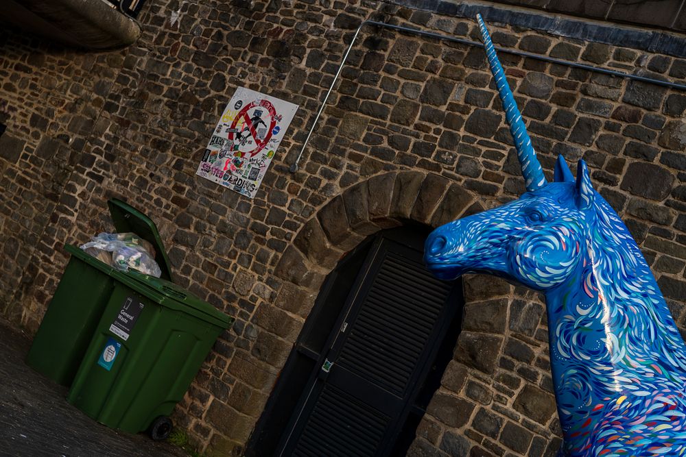 Unicornfest. Guardian of the Ocean
Artist: Farrah Fortnam
The ‘Guardian of the Ocean’ is there protect all oceans. Hoping he will create urgent action for healthy seas and oceans as we must do so much more to protect our precious eco systems around the world. From overfishing, plastic pollution, contamination and climate change. The huge challenges are endless and overwhelming.
But what about trash on the land?