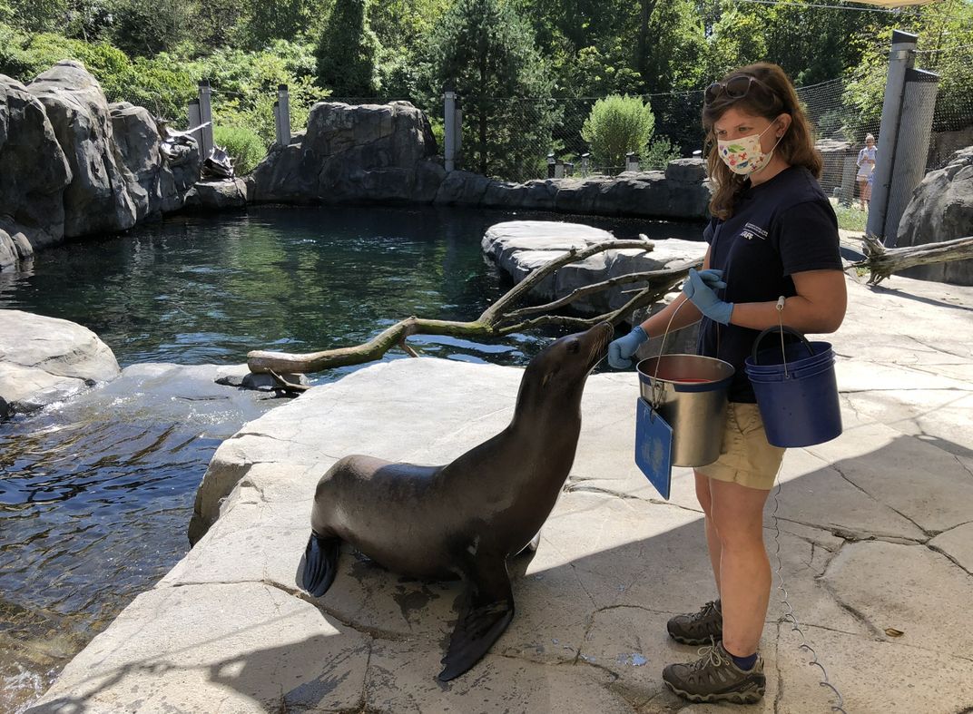 Zoologist alongside a sea lion with water in the background