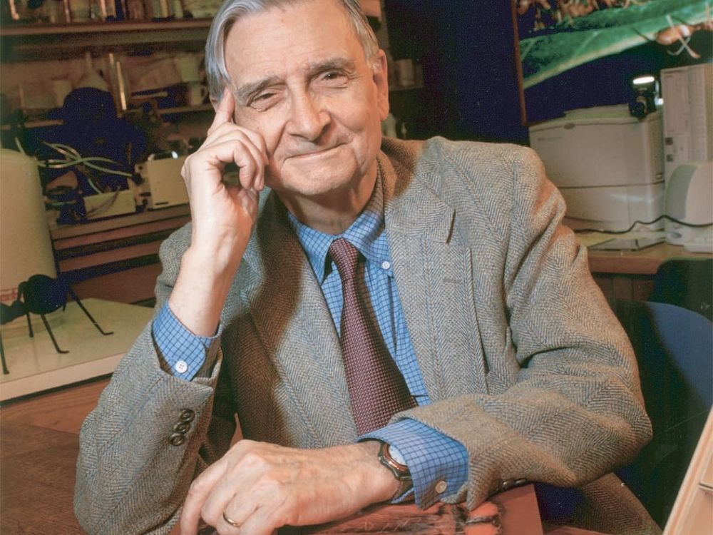 Edward O. Wilson