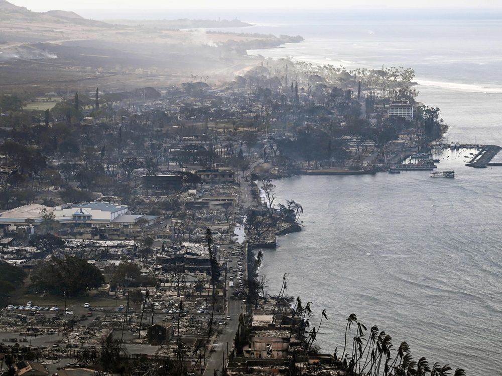 smoke floats above a scorched coastal, developed landscape