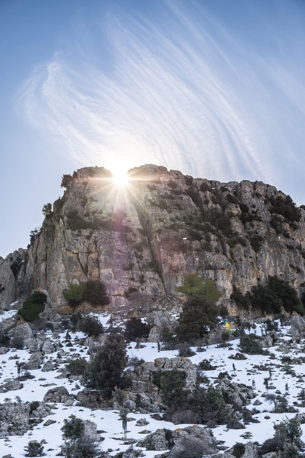 In the stark landscape surrounding Mamoiada, limestone cliffs tower over centuries-old forests.