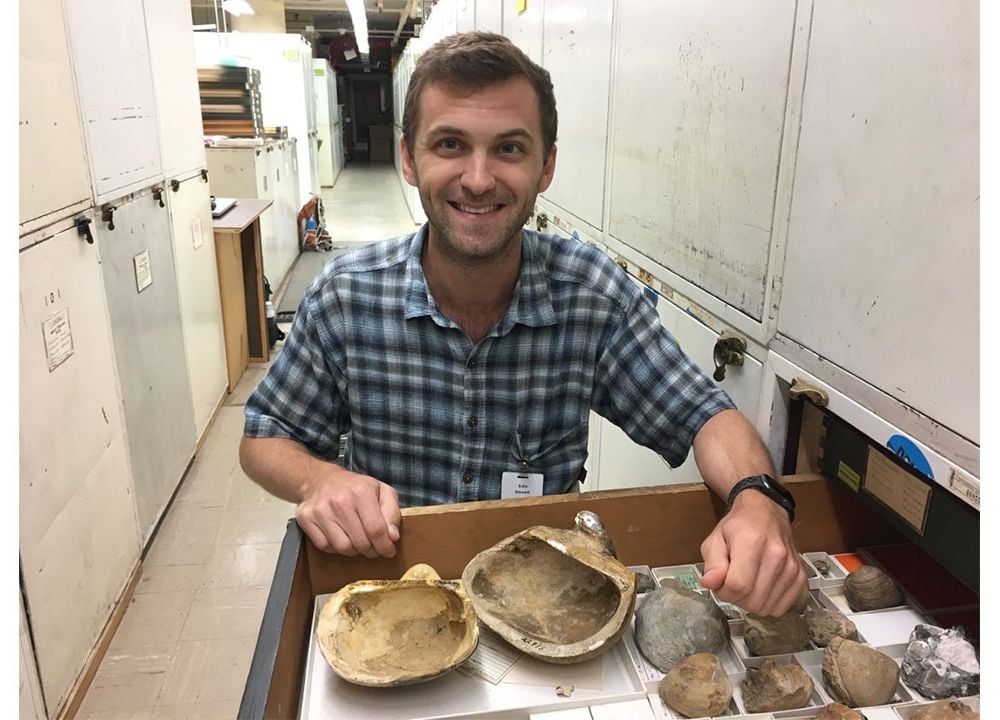 The National Museum of Natural History’s newest curator in the paleobiology department, Dr. Stewart Edie, opens a drawer with mollusk fossils in the museum’s invertebrate paleobiology collection. (Katie Collins, National History Museum, London)