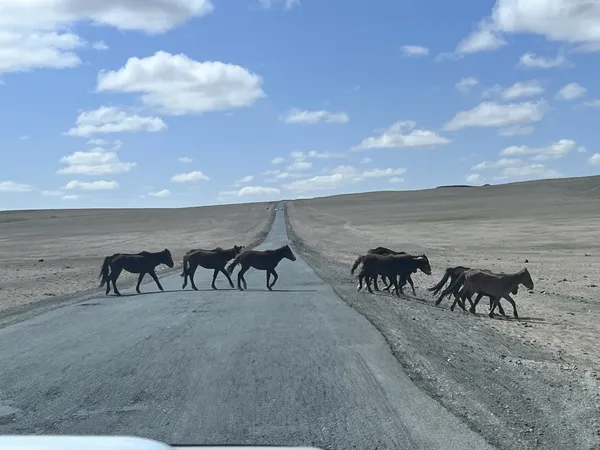 Family is family thumbnail