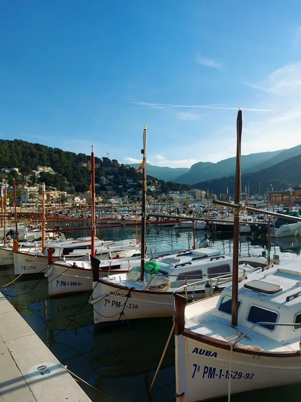 Port de Sóller thumbnail