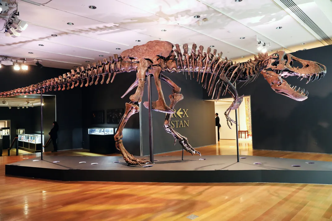 An image of the T. rex specimen, Stan, on display at Christie’s auction house in New York City.