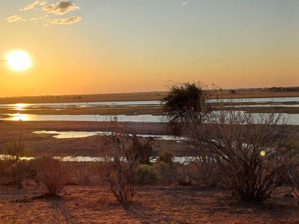 Luz de invierno en la sabana thumbnail