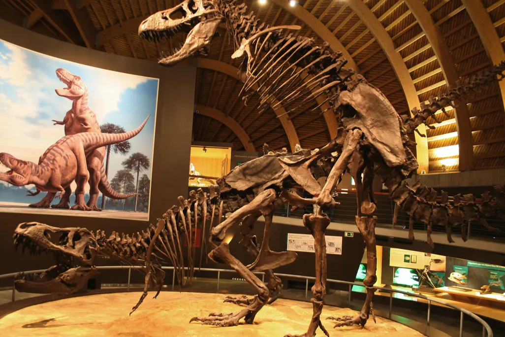 Mating Tyrannosaurus Rex