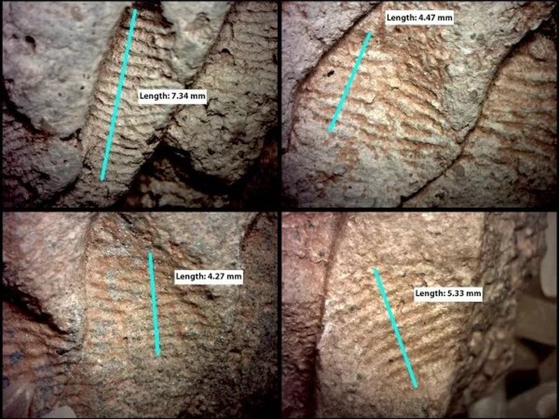 Ancient Fingerprints Show Men and Women Both Made Pottery in