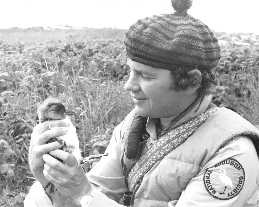 How 'Seabird Sue' Blends Art and Science to Attract Birds Back to Lost Habitat