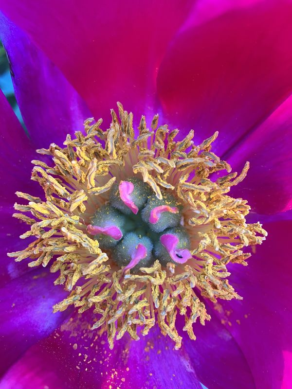 looking closely can be transformative thumbnail