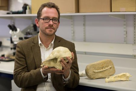 Co-author in the new study, Nick Longrich from the Milner Centre for Evolution at Bath University, poses with some mammal specimens.