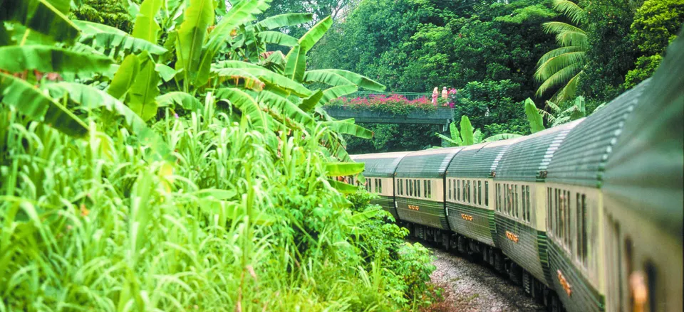  Traveling through the forests on the E&O Express 