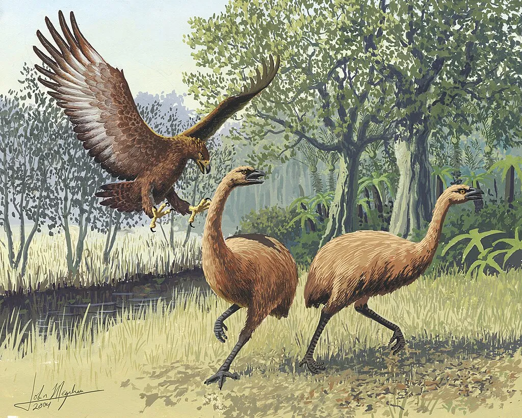 Illustration of a large bird of prey attacking two flightless birds