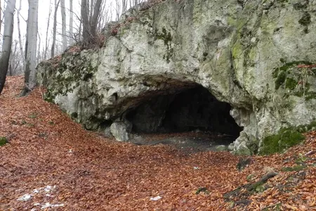 Maszycka Cave in southern Poland, where archaeologists unearthed 18,000-year-old bones that show evidence of human manipulation