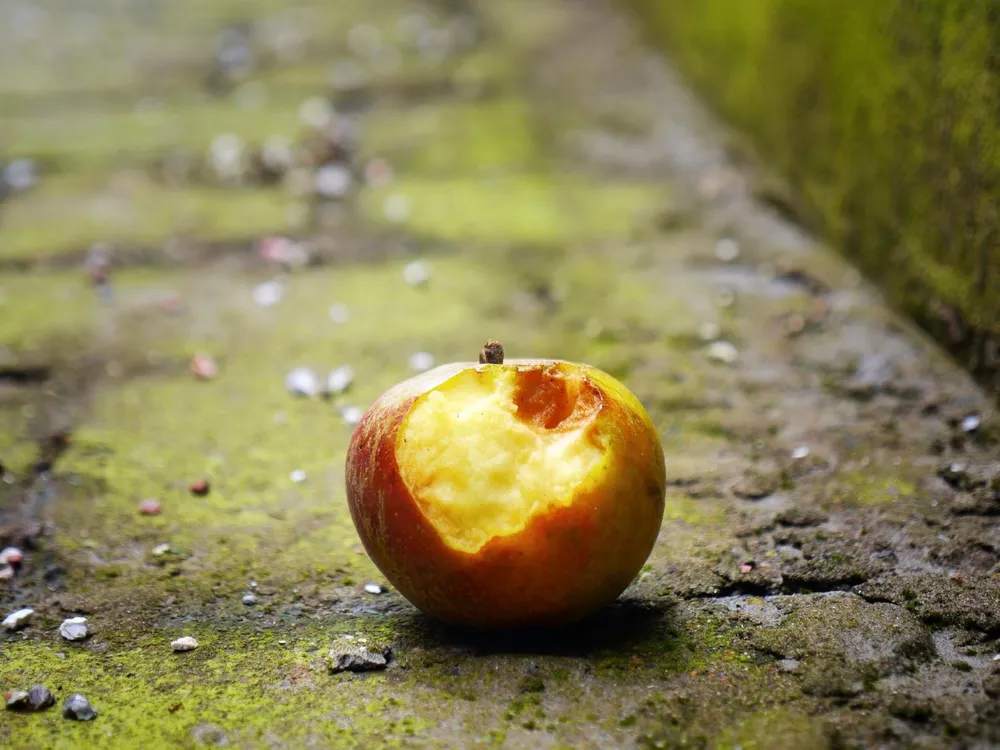 Half-Eaten Apple