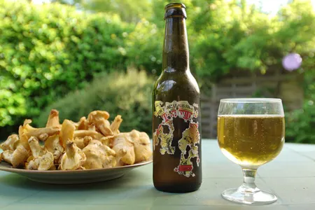 The author enjoys a previously-stashed beer and a plate of chanterelles in in the Périgord region of France.