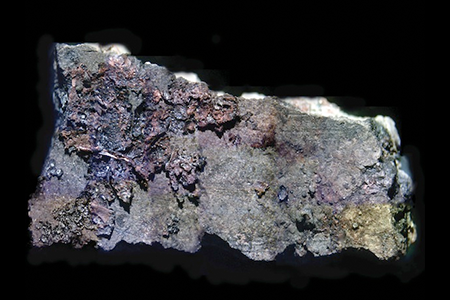 Food residue encrusted on 6,000-year-old pottery fragments from Northern Europe, such as the one above, show traces of mustard seed, which was likely used as a seasoning for fish and meat.