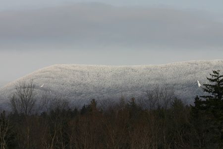 Breadloaf Mountain, Vermont 