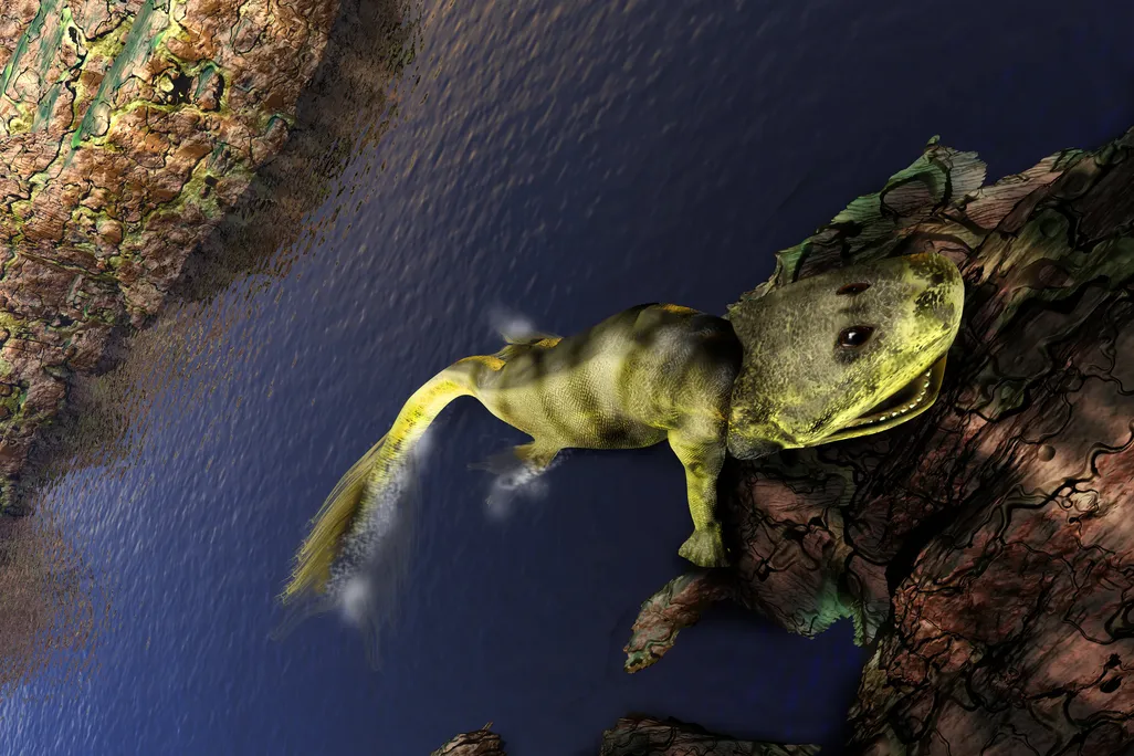 Tiktaalik roseae