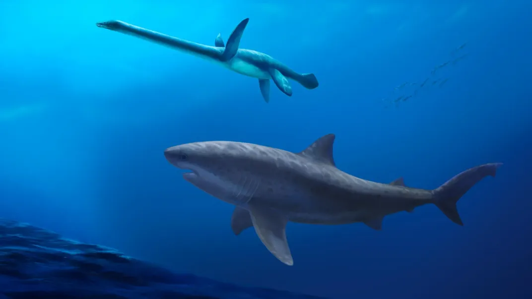 an illustration of a giant shark swimming with a large marine reptile