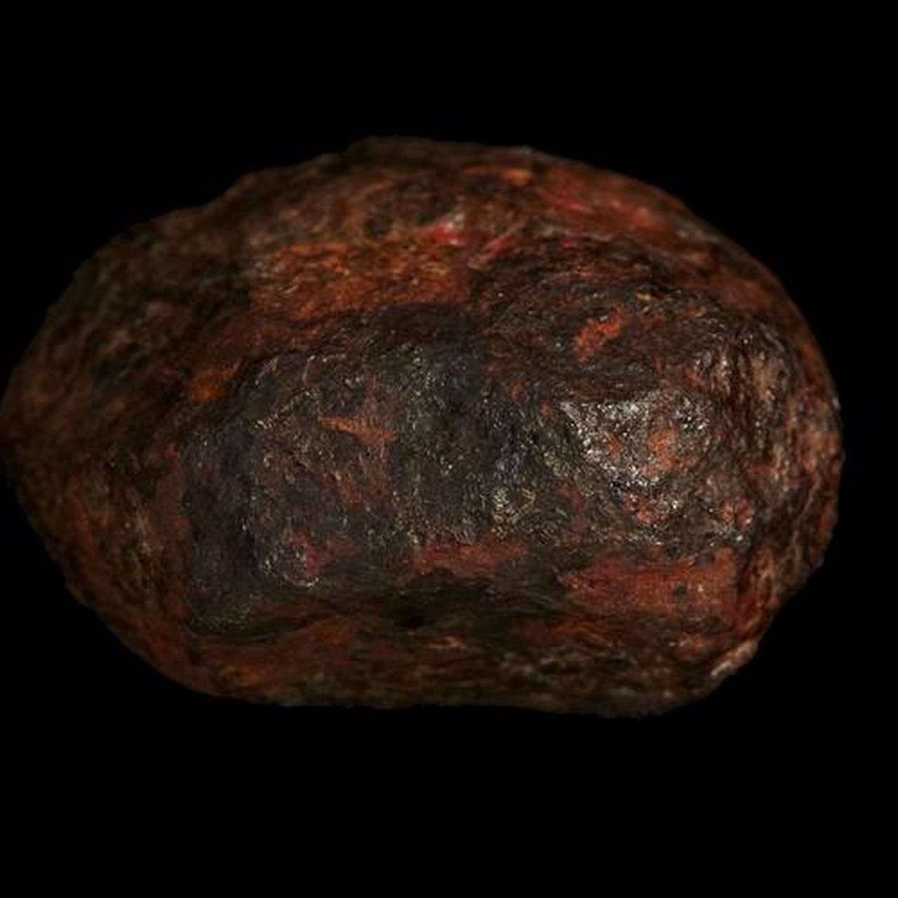 wedderburn_meteorite.jpg