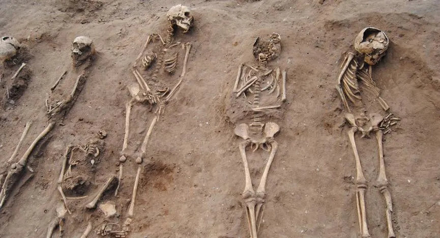 Black Plague victims' bones