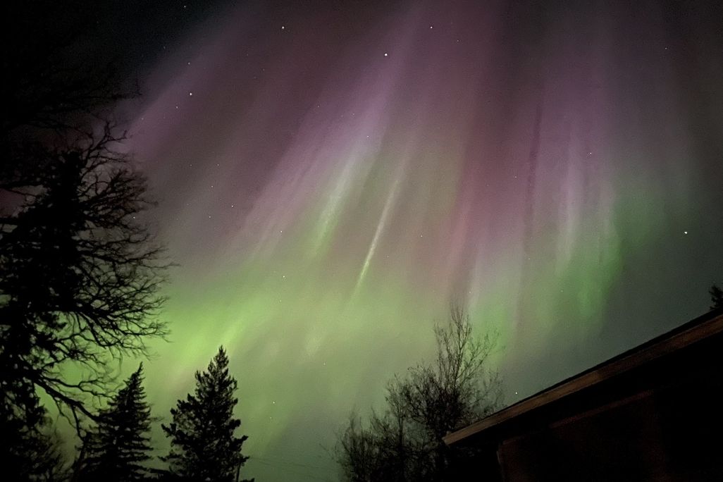 green, white and purple glowing lights stretch vertically into the sky above silhouettes of trees