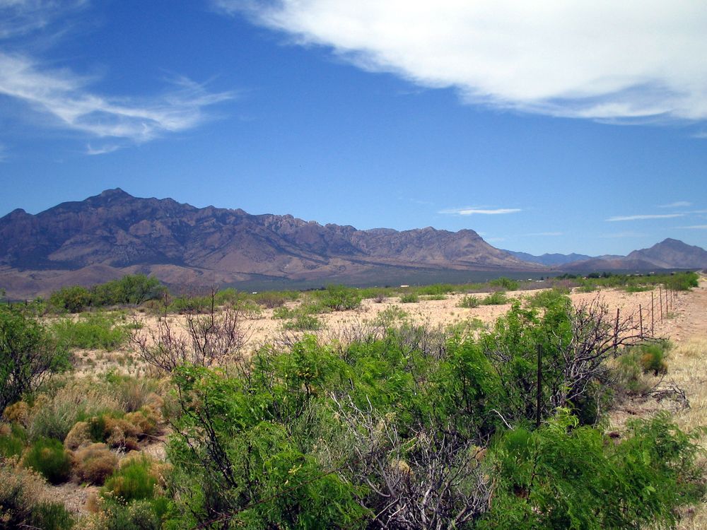 Chiricahua Mountains