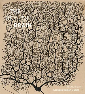 Preview thumbnail for The Beautiful Brain: The Drawings of Santiago Ramon y Cajal